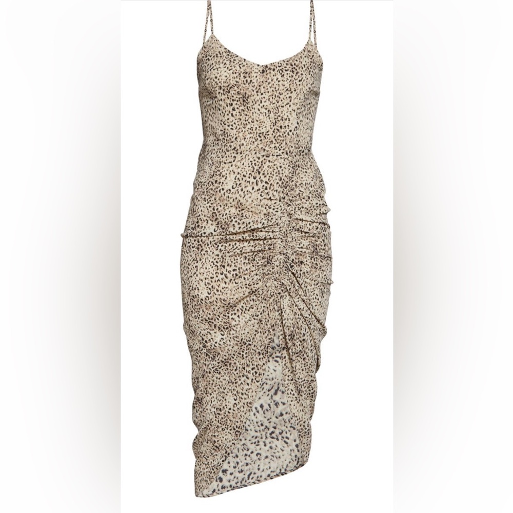 Animal Print dress BB Dakota